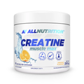 ALL NUTRITION® CREATINE MUSCLE MAX 500g Natural
